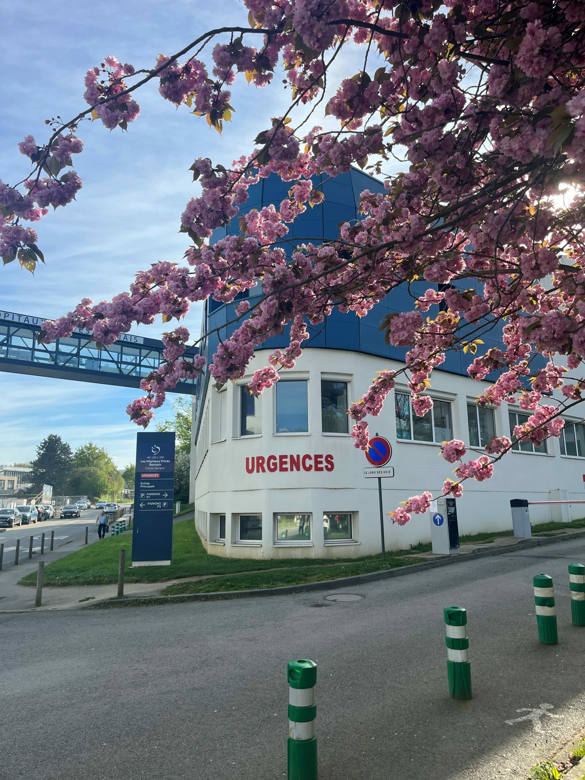 Photo des urgences avec arbre fleuri devant.