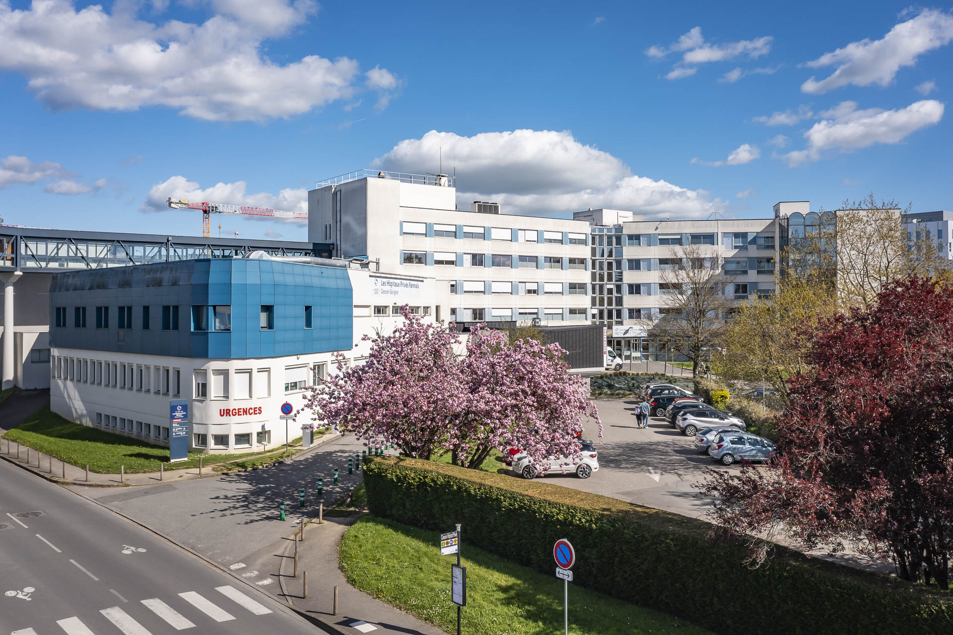 RECRUTEMENT : Hématologue